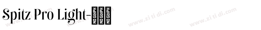 Spitz Pro Light字体转换 Spitz Pro Light字体转换